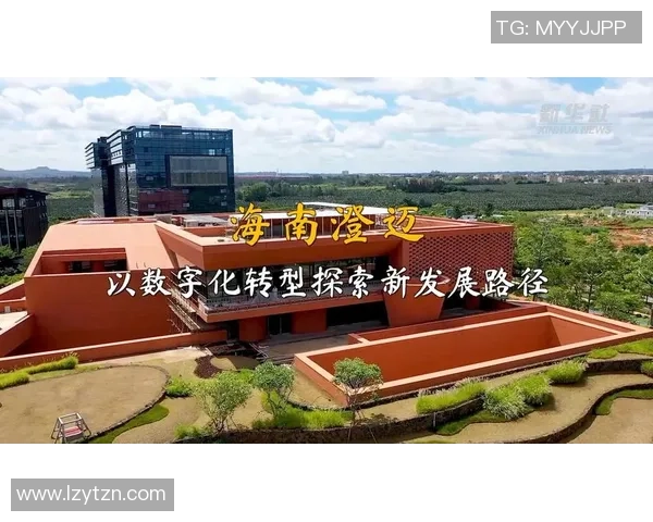 北京排球队的控制革新探索与发展路径分析全景报告 北京排球队的控制革新探索与发展路径分析全景报告